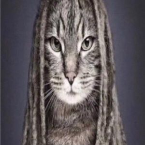 Meet your Posher, Caleb